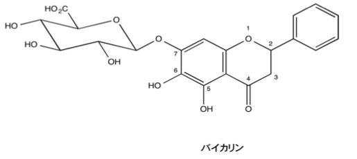 解説画像